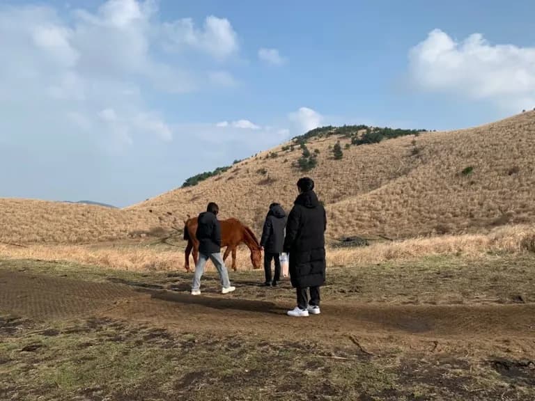 제주도 동쪽 오름 추천-12